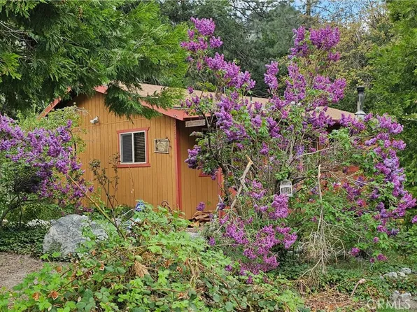 9350 Dogwood Ln, Forest Falls, CA 92339