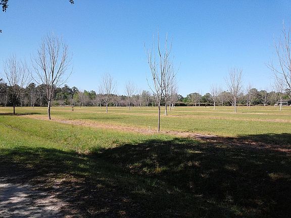 spring younger orchard