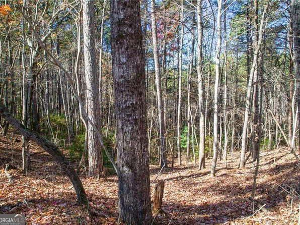 26 Waldrip Rd, Dawsonville, GA 30534