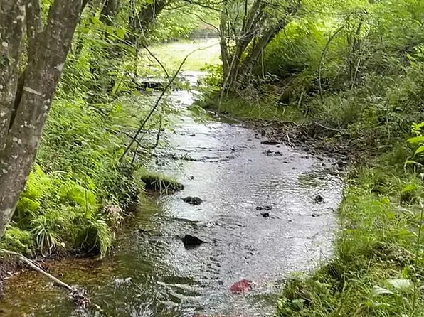 4298 S Fortyeight Rd, Waynesboro, TN 38485