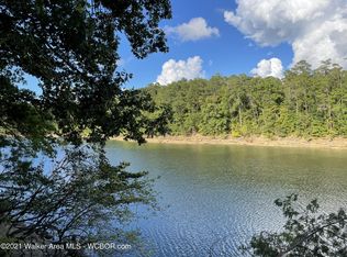 39 Shoreside At Sipsey, Double Springs, AL 35553