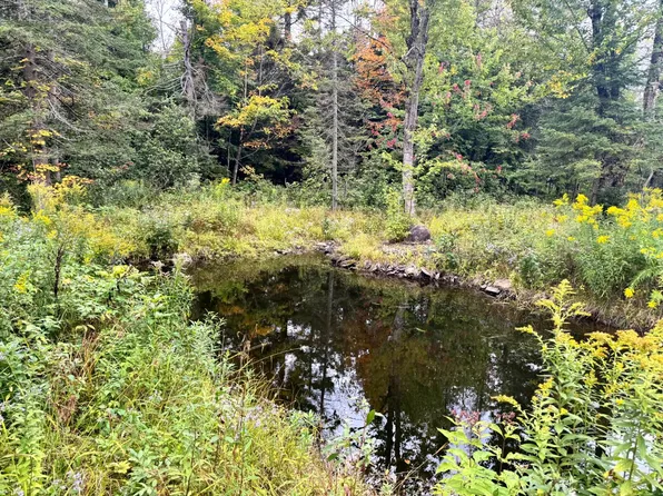 1.6 Mackay Rd #6, Constableville, NY 13325