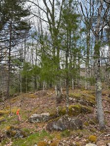 Lot 9 Aspen Drive, South Thomaston, ME, 04858