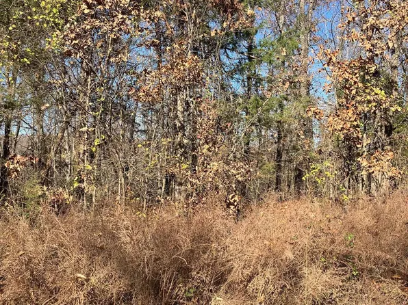 4 White Horse Mountain Rd, Hardy, AR 72542