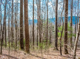 1169 Halls Chapel Rd, Burnsville, NC 28714