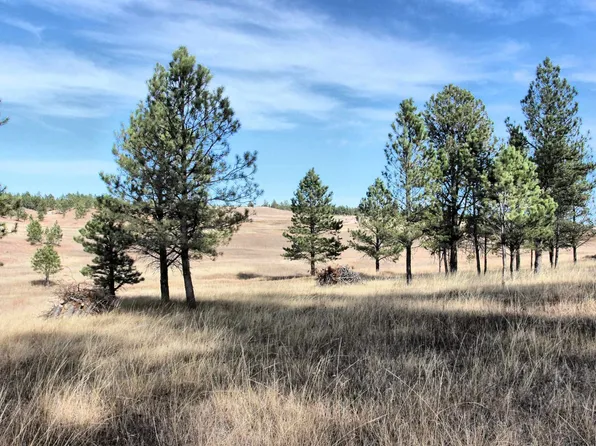 3&6 Red Rock Ln, Pringle, SD 57773