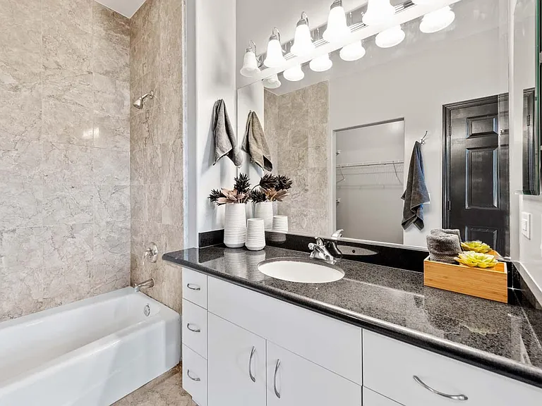 Master bedroom bath + toilet room + walk-in closet