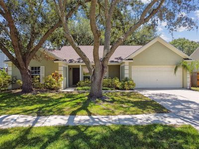 9710 Cypress Pond Ave, Tampa, FL, 33647