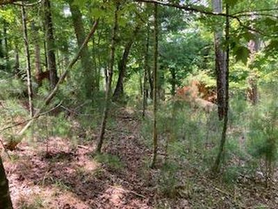 LOT 3041 Parnell Dr, Ellijay, GA, 30540
