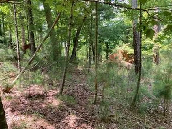 LOT 3041 Parnell Dr, Ellijay, GA 30540