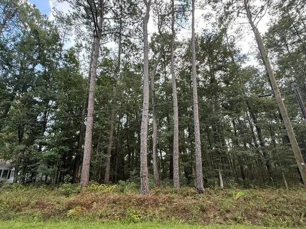 6129 Smith Rd, Ravenel, SC 29470