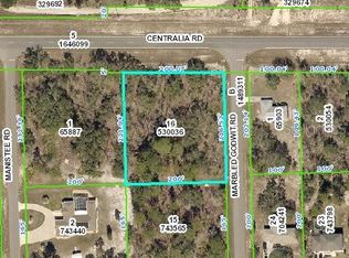 13147 Marbled Godwit Rd, Weeki Wachee, FL 34614