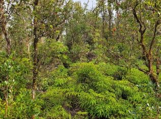 Pilo St, Mountain View, HI 96771