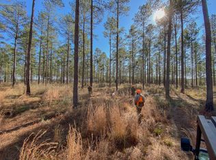 1029 Bush Rd, Brantley, AL 36009