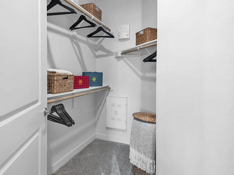 Carpeted Closet