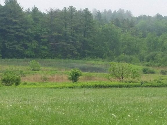 Conservation Area Pond view