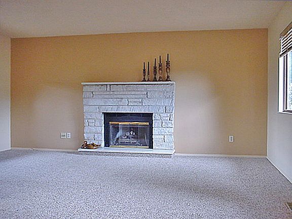 LIVING ROOM WITH GAS FP