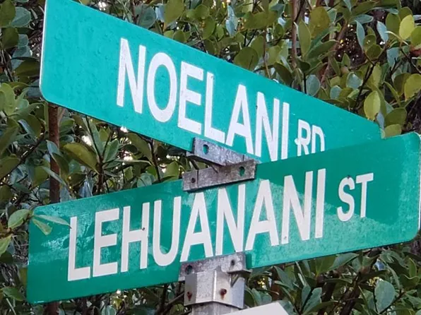 Road 13 Lot 738, Volcano, HI 96785