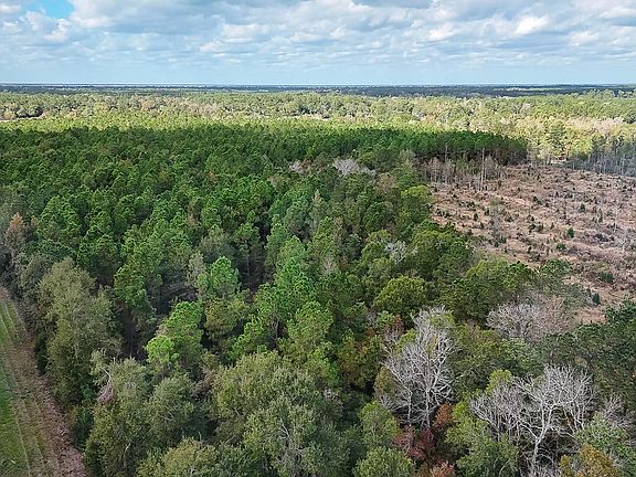 Compass South Land Sales Louisiana Alligator Park Road 5