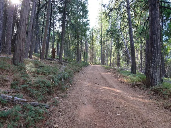 Douds Ln, Avery, CA 95224