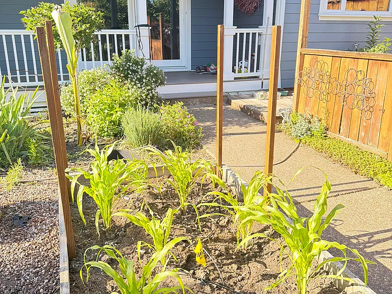 420 S Center St — Photo 21