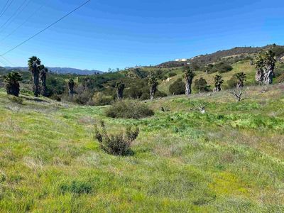 21722 Carancho Rd, Temecula, CA, 92590