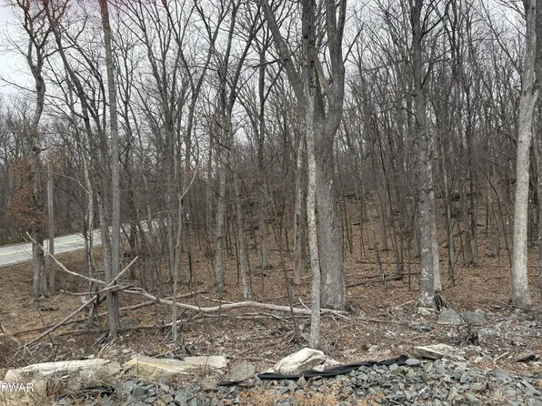 LOT 3 Route 739, Milford, PA 18337