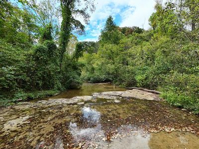 5154 Dry Mill Creek Rd, Hilham, TN, 38568
