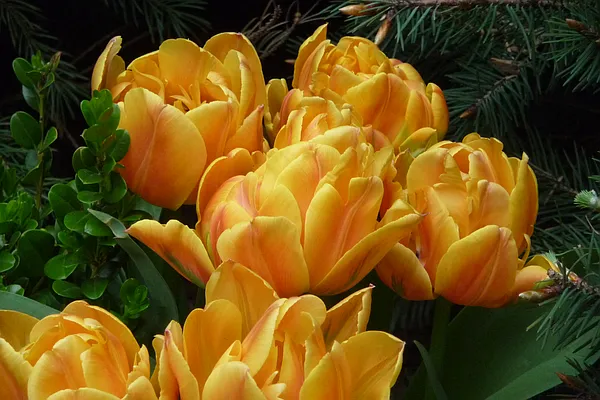 Rented by Aida Real Estate Sales | media 16