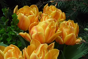 Rented by Aida Real Estate Sales