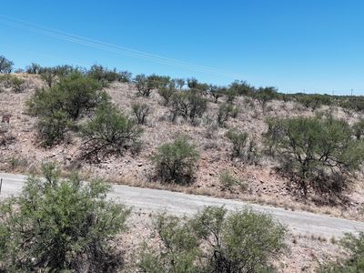 702 Camino Arruza #48, Rio Rico, AZ, 85648