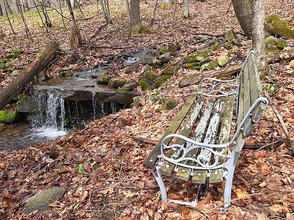 3rd image of 914 Dimmick Mountain Rd