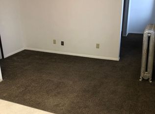 222 Adams Ave #307, Eveleth, MN 55734