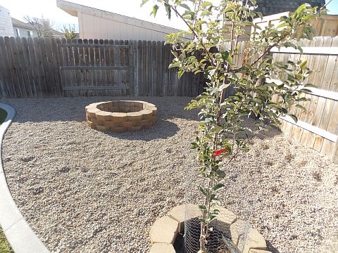 Fire pit area