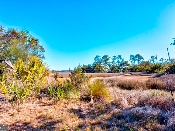 2nd image of 0 Cattle Hammock Rd