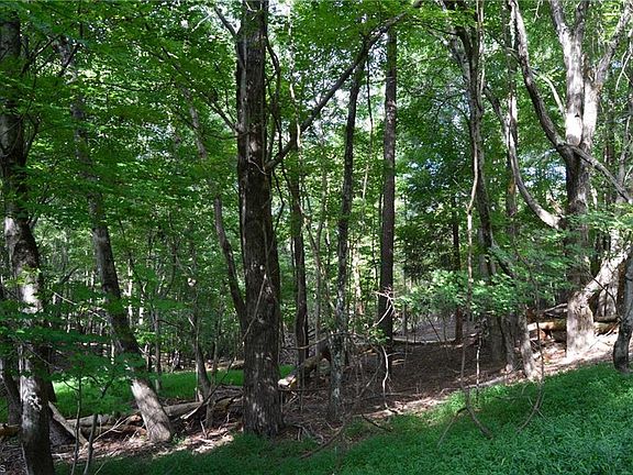 5th image of TRACT Hanging Rock Park Rd #F