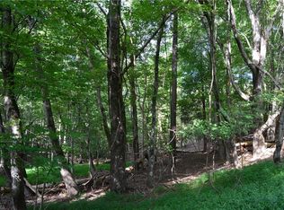 0 Hanging Rock Forest Rd TRACT F-11.4, Danbury, NC 27016