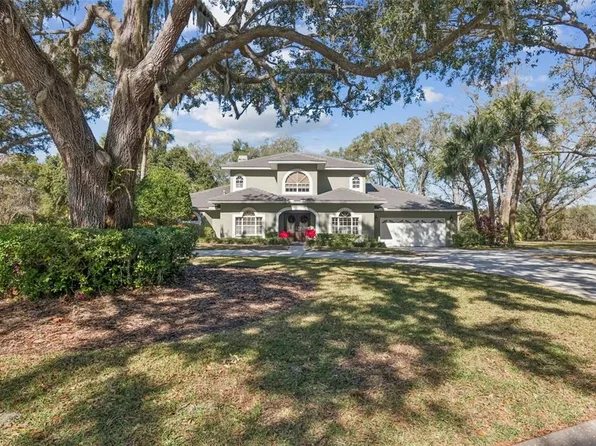 11003 Nest Ct, Odessa, FL 33556