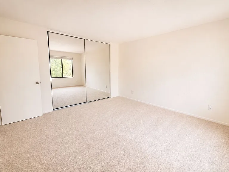 5451 Caminito Borde — Photo 17
