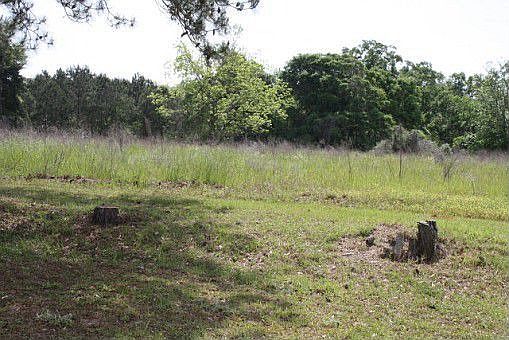 3rd image of 9165 County Road 7