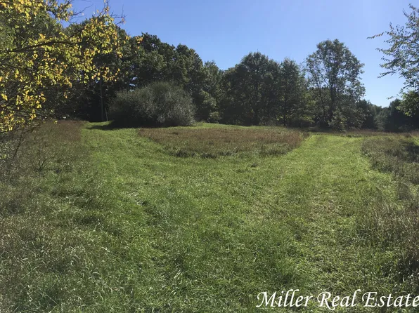 Par A Woodruff Rd, Hastings, MI 49058