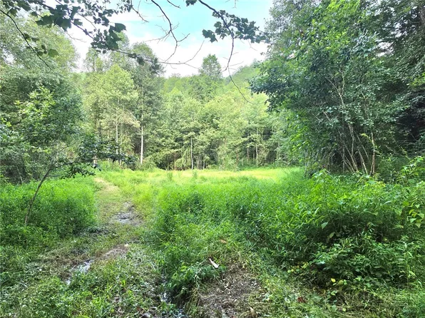 0 Elk Creek Darby Road, Ferguson, NC 28624