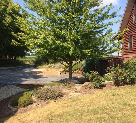 driveway side of home