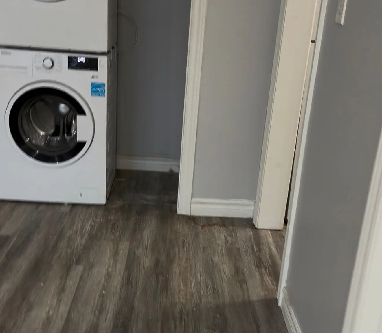 1 bed, $1,550 — Photo 4