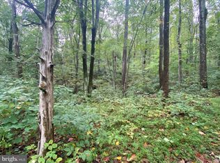 21 Chimney Hollow Rd, Syria, VA 22743