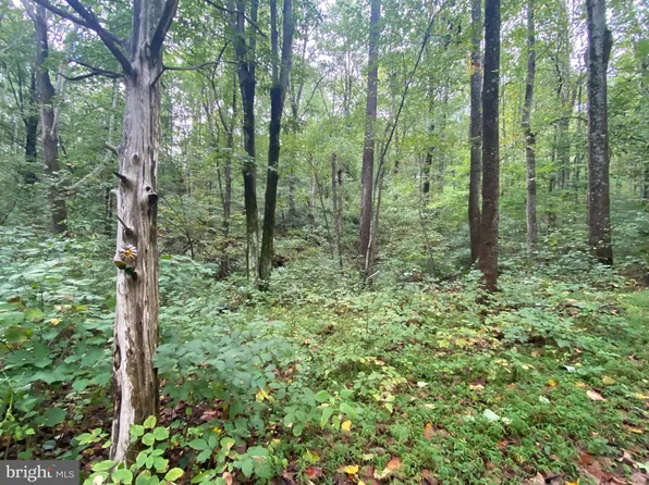 21 Chimney Hollow Rd, Syria, VA 22743