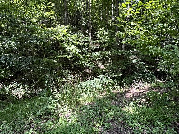 5th image of 0 Seminole Dr #33