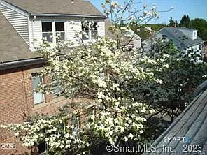 263 Roselle St #3 — Photo 13