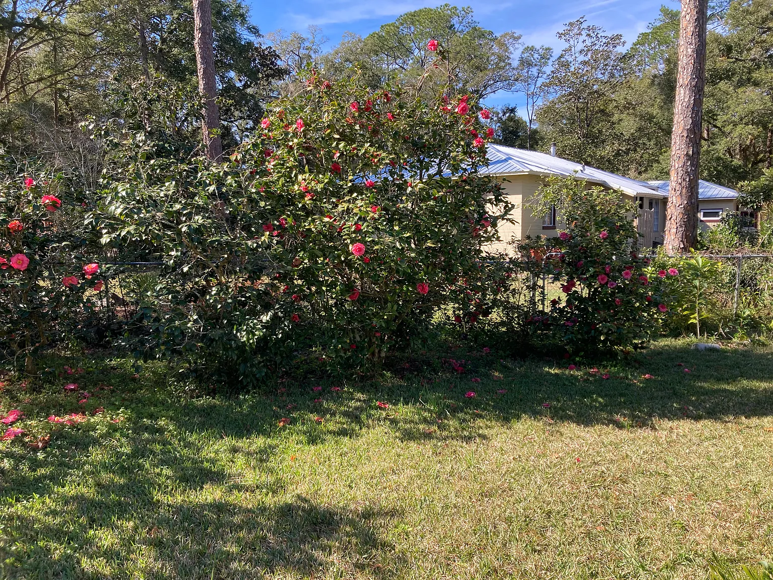 3 bed, 1200 sqft, $1,650 — Photo 2