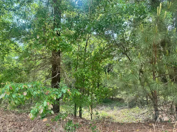 10 Warbonnet Rd, Springfield, SC 29146